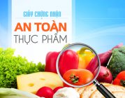 Hướng dẫn thủ tục cấp giấy chứng nhận vệ sinh an toàn thực phẩm tại Hải Phòng